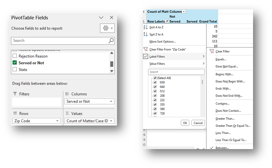 PivotTable Fields and Label Filters windows