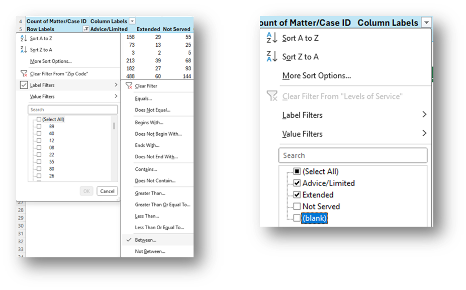Column labels window with Label Filters box checked and Not served unchecked