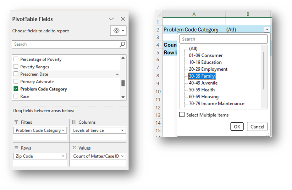 PivotTable Fields window with Problem Code Category selected and 30-39 family filter selected