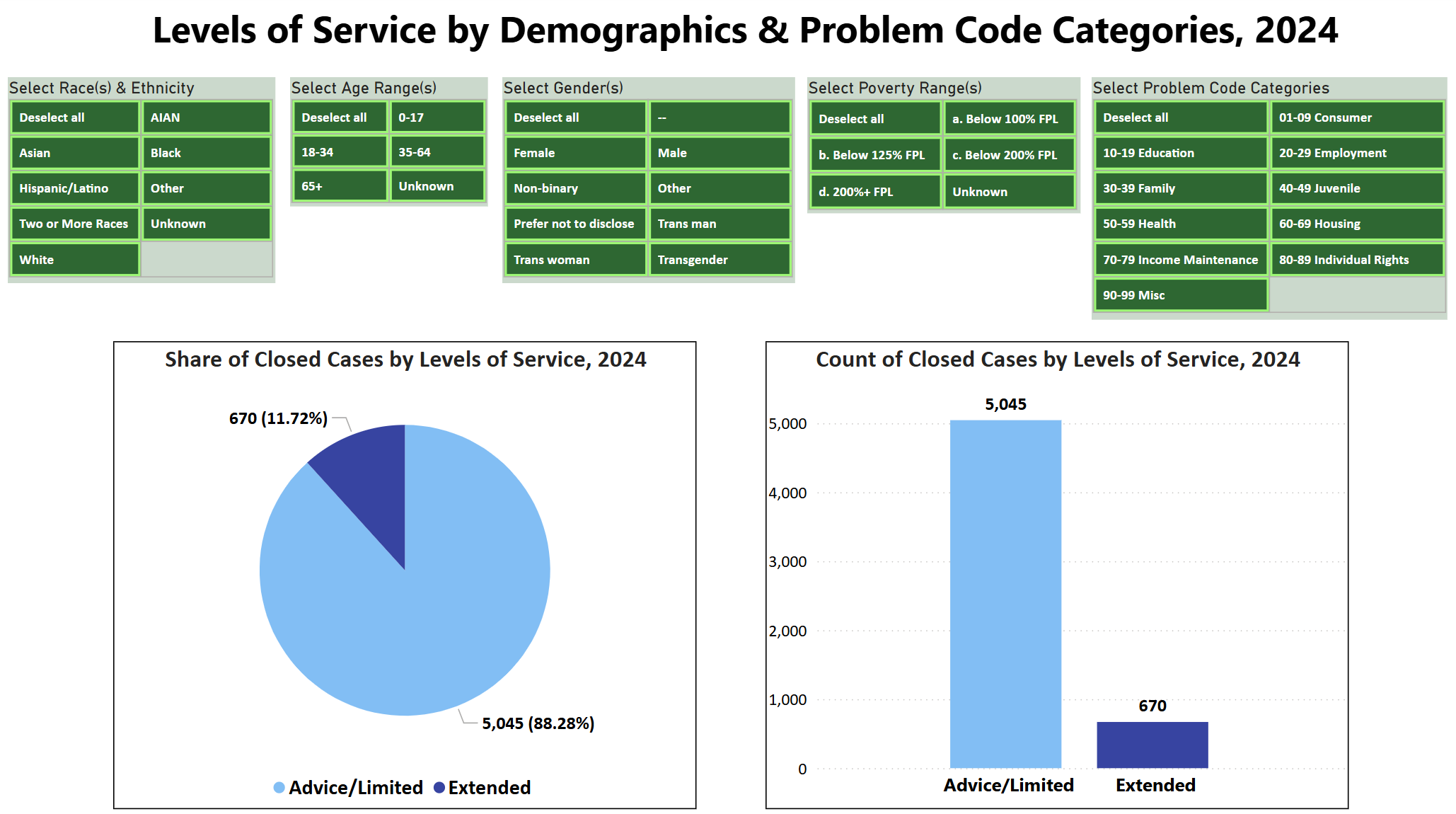 Microsoft Power BI Levels of Service by Demographic & Problem Code Categories for 2024 with no slicers selected