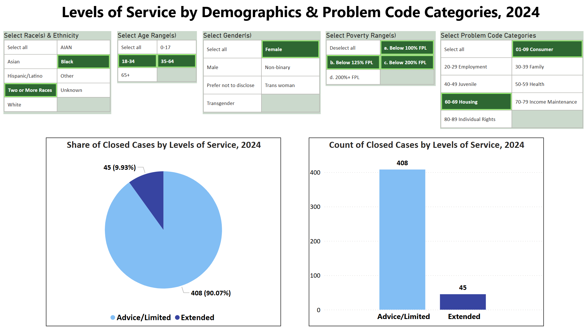 Microsoft Power BI Levels of Service by Demographic & Problem Code Categories for 2024 with various slicers selected