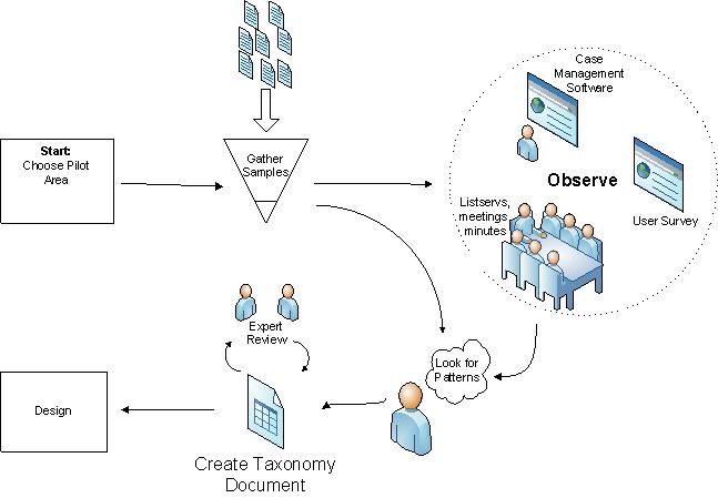 taxonomy