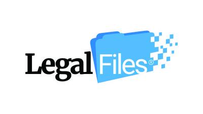 Why is translation review vital in high-stakes legal files?