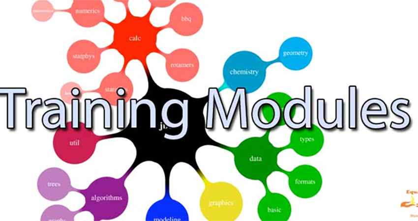 Training Module: Showcase of Statewide Website Innovations - LSNTAP